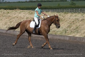 ISIS Dressage Challenge 2008